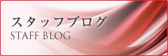 スタッフブログ